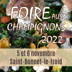 Foire aux champignons 2022...